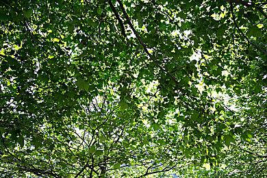 港服PS商城开启双倍折扣活动  多款游戏迎来优惠